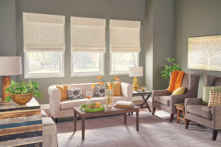 Standard Roman Natural Shades with AutoView Motorized Lift: Resonance, Sugarcane 00116 with Privacy Liner: Snow White 2909, 2&quot; Edge Banding: Vanilla 1171, and 9&quot; Standard Valance